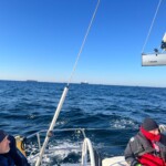 Segeln Und Wassersport