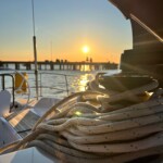 Segeln Und Wassersport