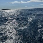 Segeln Und Wassersport