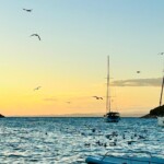 Segeln Und Wassersport